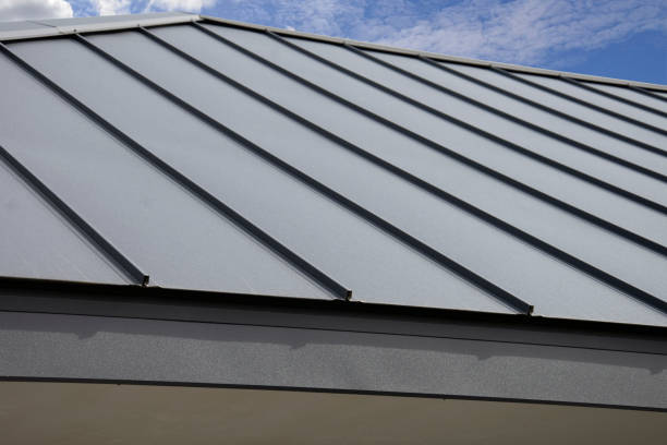 Best Skylight Installation and Repair  in Mcconnelsville, OH